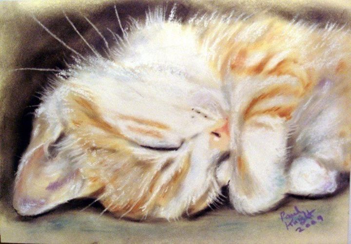 Adorable cats by English artist Paul Knight - cat, Painting, Fluffy, Milota, Longpost