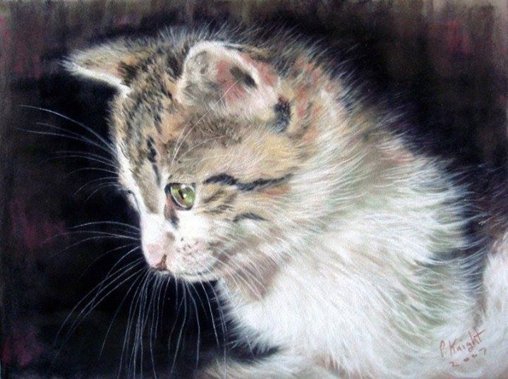 Adorable cats by English artist Paul Knight - cat, Painting, Fluffy, Milota, Longpost