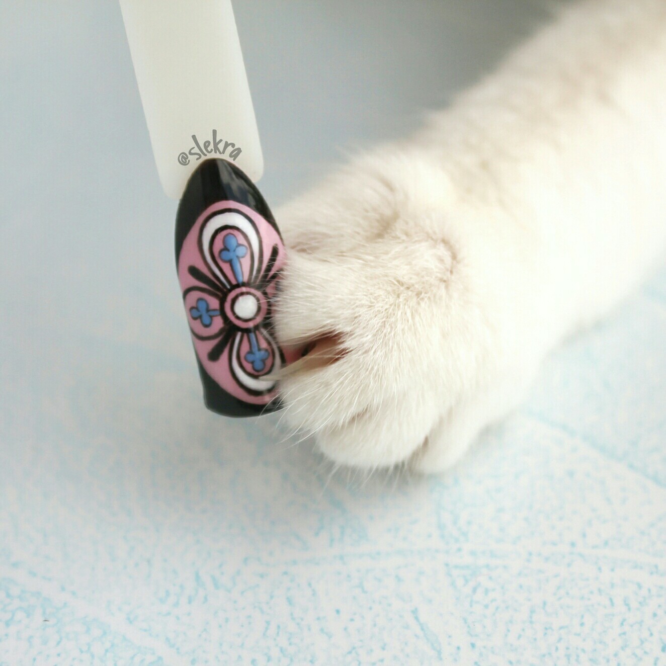 Draw, mistress - Manicure, Tricolor cat, cat, Kus, Humor, Nicely, Milota, Meow, Longpost