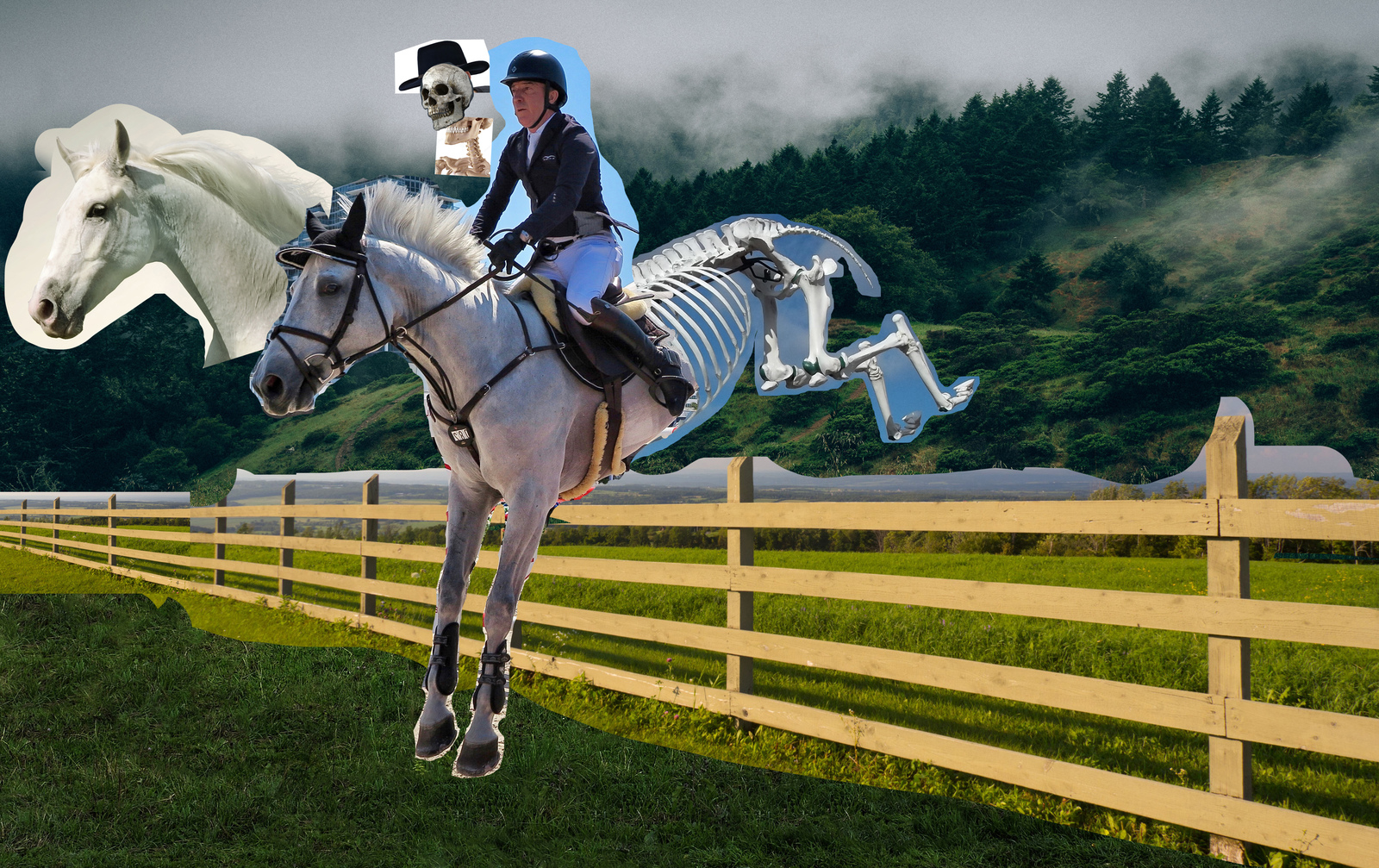 Rider on a pale horse... - My, Photoshop, Rider, Death, Horses, Gif animation, GIF, Longpost