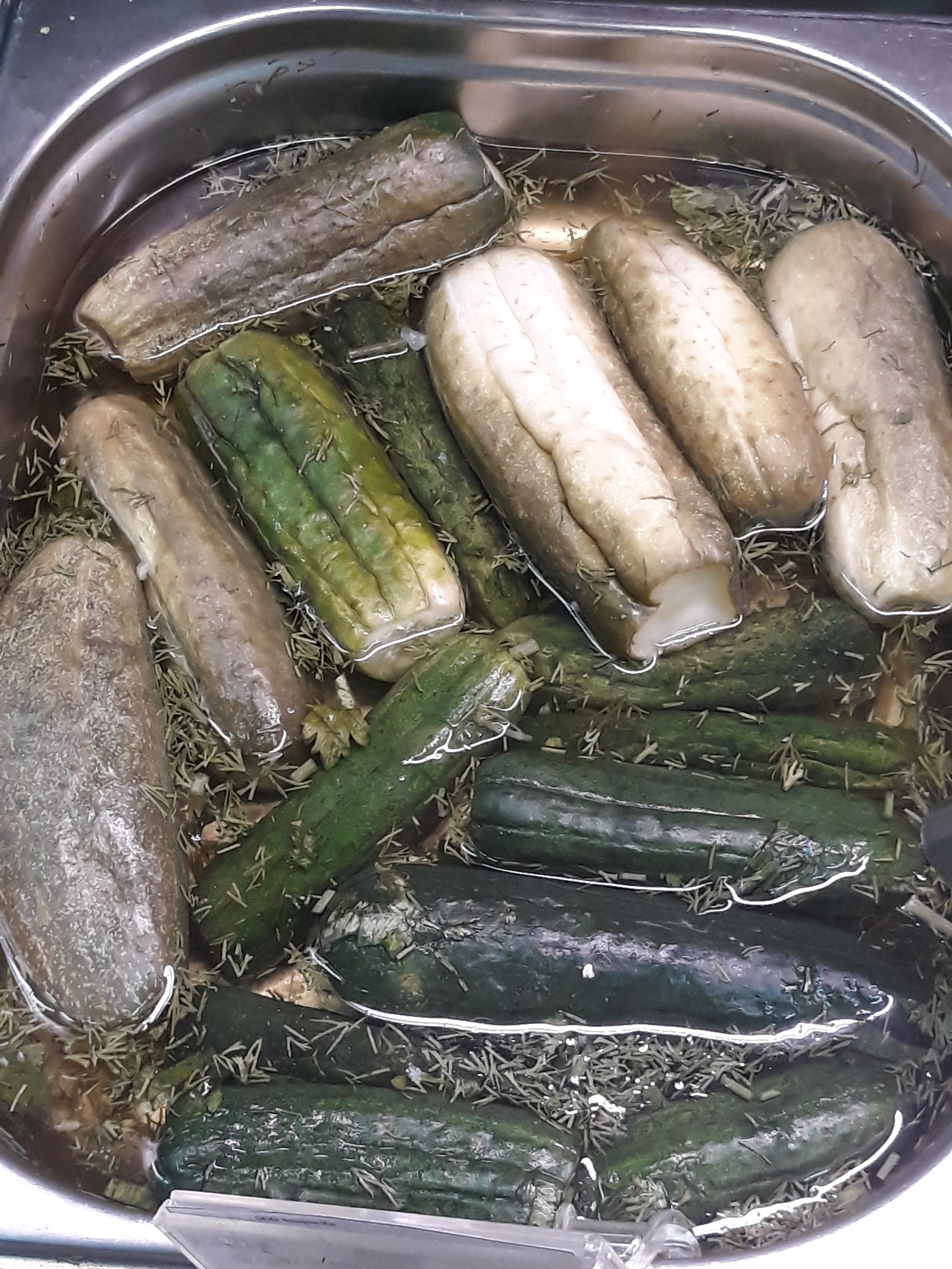 Pickled cucumbers. - My, Volgodonsk, Artemis, Impudence, Longpost