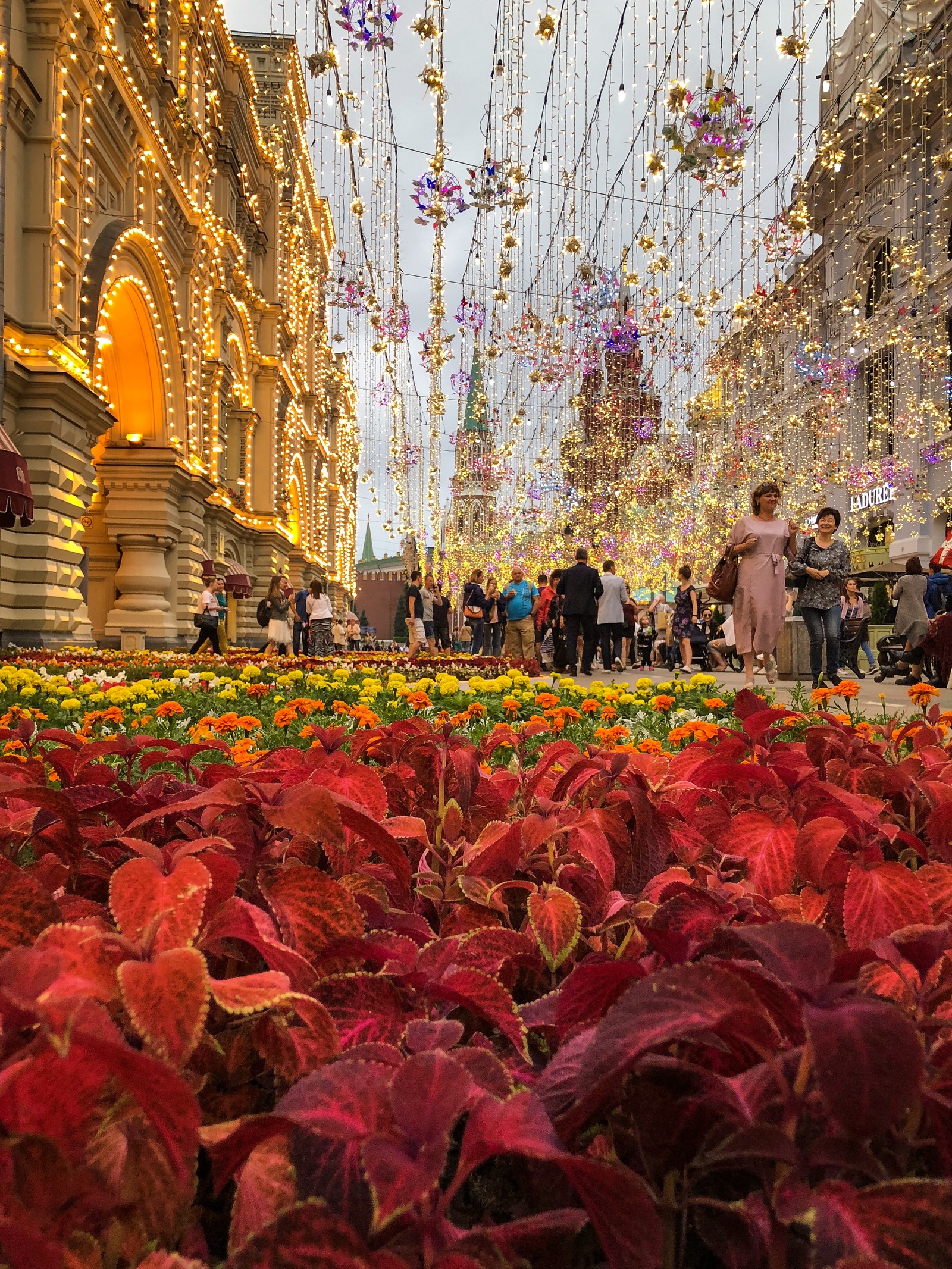 Москва в цветах картинки партизанская цветы