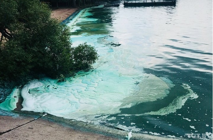 The Committee of Natural Resources explained why the water in the Minsk Sea turns green - Water, Seaweed, Color, Beautiful, Ecology