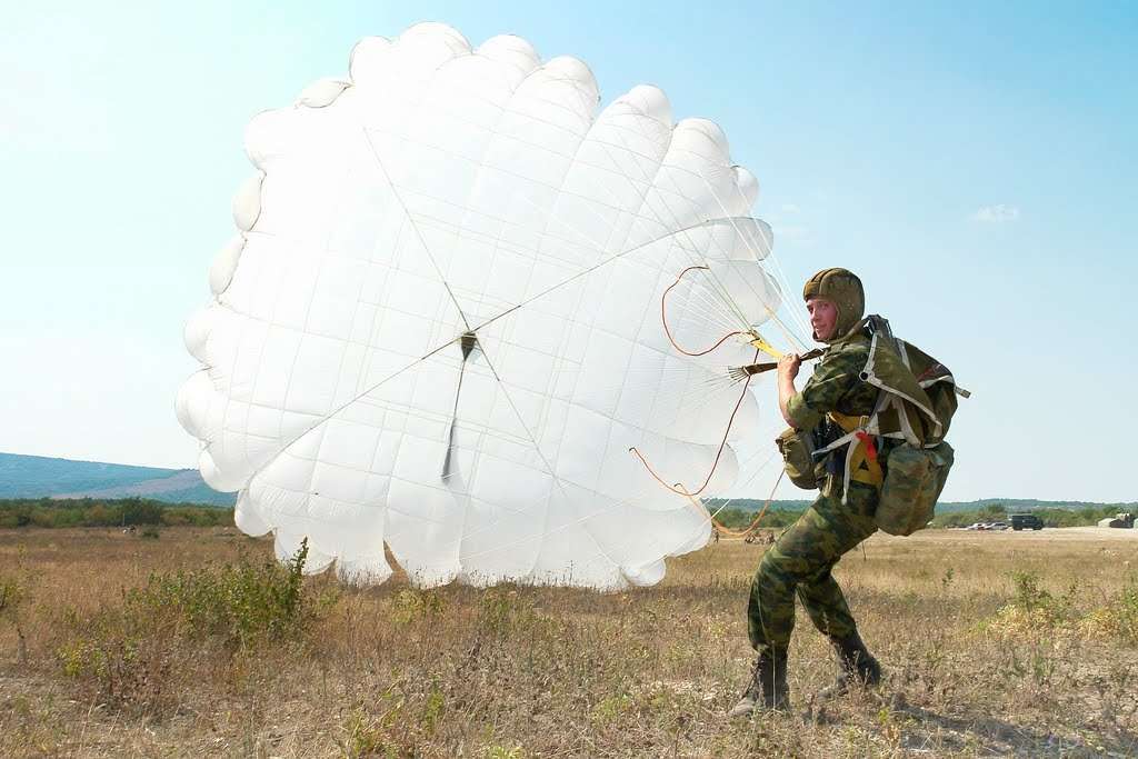 Congratulations to all involved on the day of the parachutist! - My, Holidays, Parachutists, Paratroopers, Differences, Many letters, Longpost