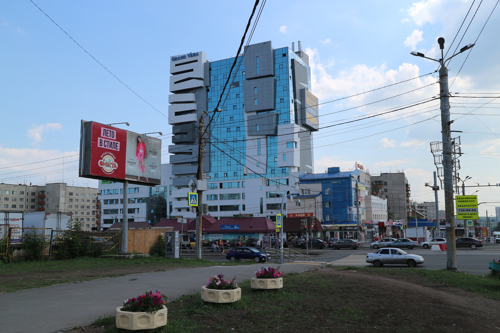 The story of one disgusting thing: a sunflower grew at the crossroads in Chelyabinsk, but a girl from the office center tore off his head - Chelyabinsk, Disgusting, Plants, Longpost