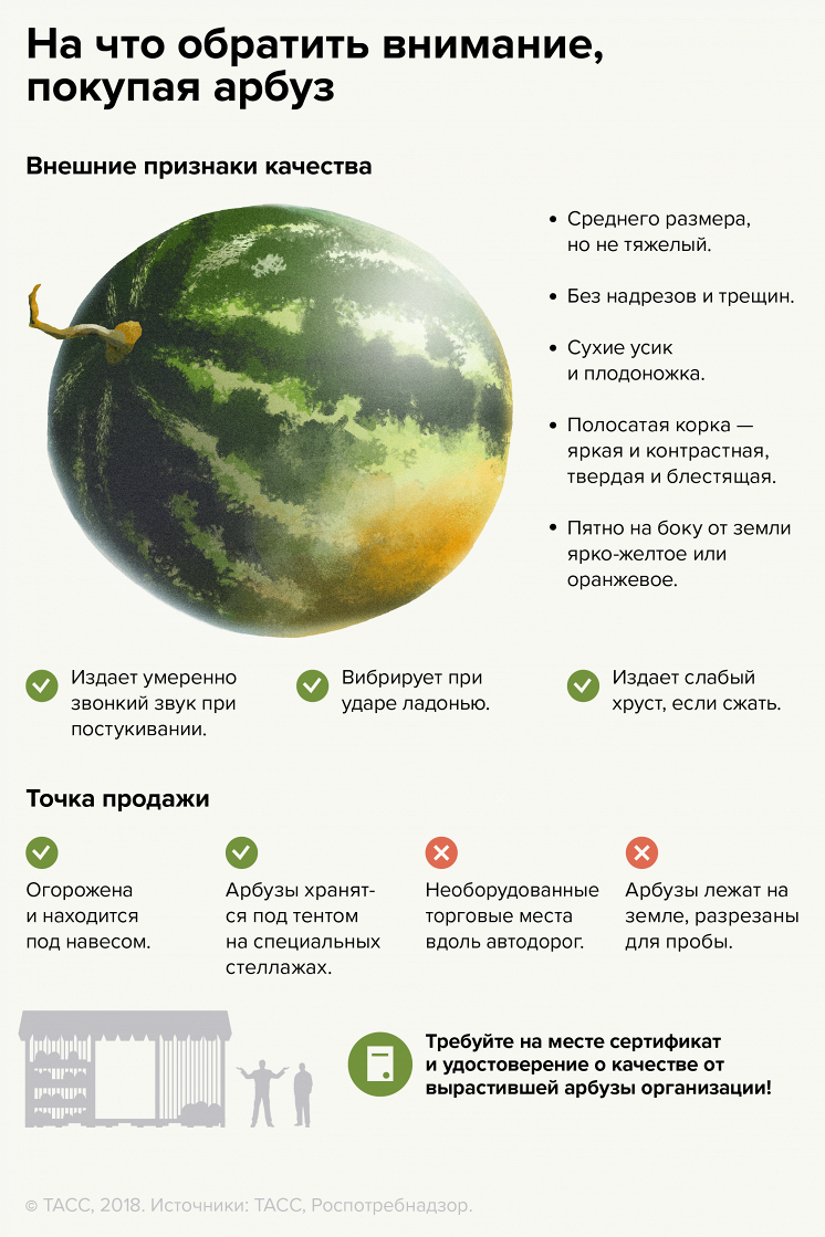 How to choose a watermelon and where it is better to buy: advice from Rospotrebnadzor - Watermelon, Rospotrebnadzor, Choice, Advice, Summer, Longpost