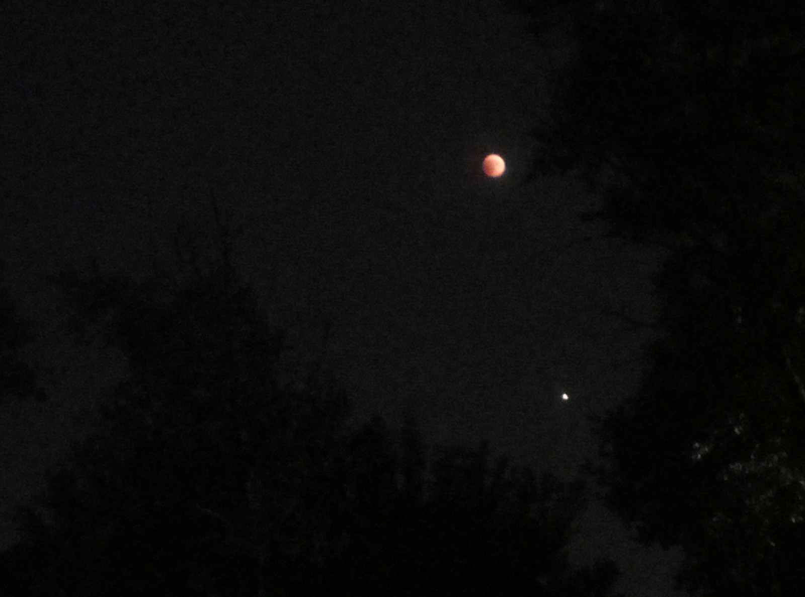 Eclipse of the Moon and Mars through the eye of a smartphone - My, Mars, moon, Eclipse, The photo, Longpost