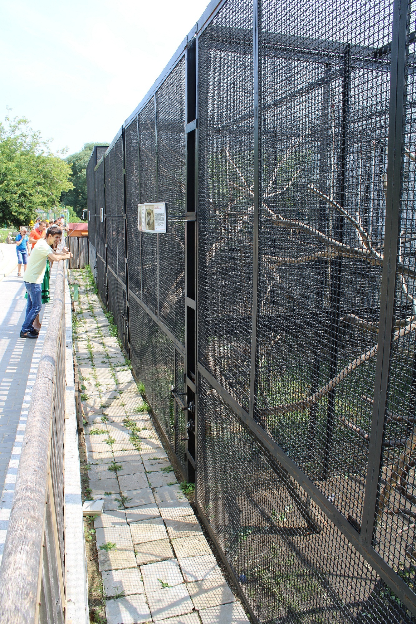 Penza Zoo - the general condition of the enclosures. - My, Penza Zoo, Aviary, , Longpost