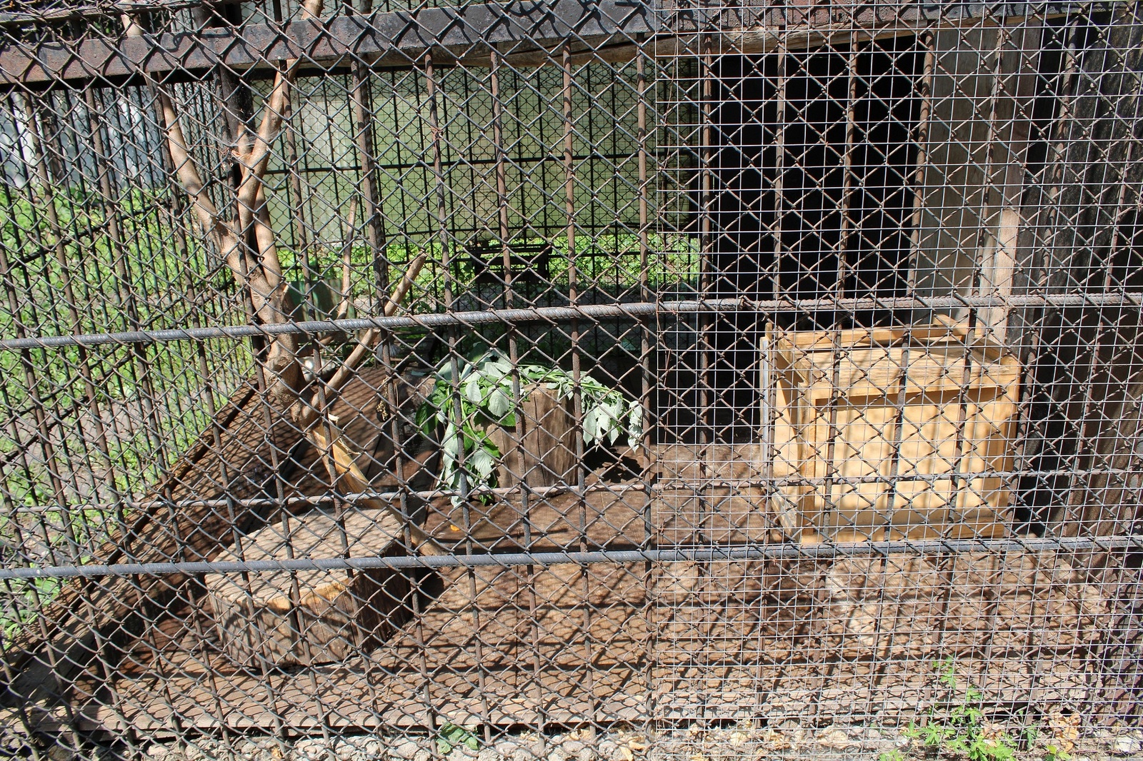 Penza Zoo - the general condition of the enclosures. - My, Penza Zoo, Aviary, , Longpost