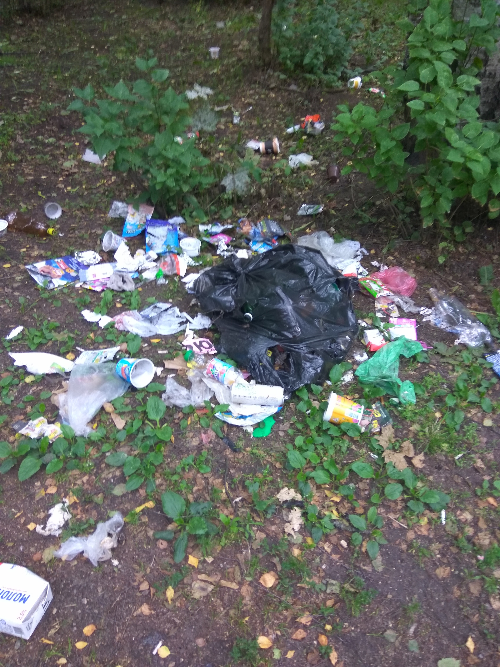 Our Petersburg - My, Beautification, Appendix, Garbage, Saint Petersburg, Longpost