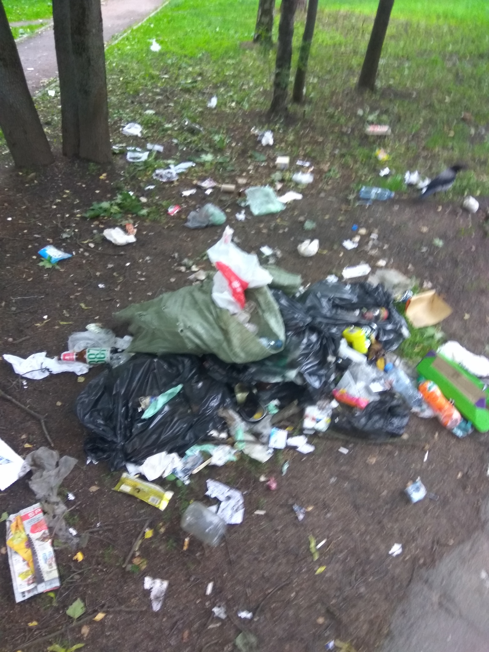 Our Petersburg - My, Beautification, Appendix, Garbage, Saint Petersburg, Longpost