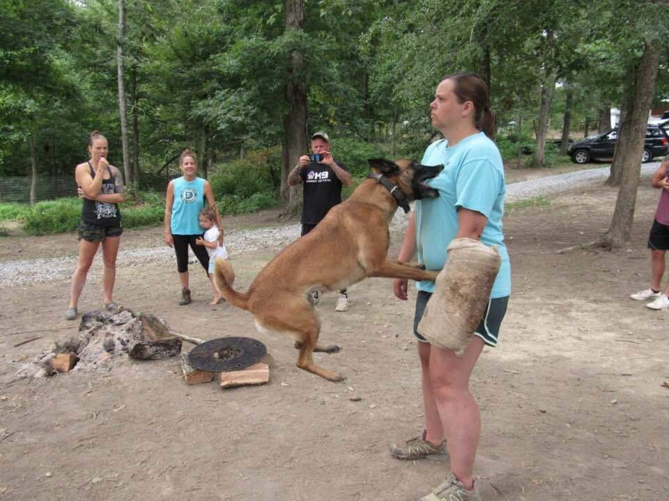 My friend is a dog trainer. He shared this great photo from their training - The photo, Animals, Dog, Female, Kus, Reddit, Women