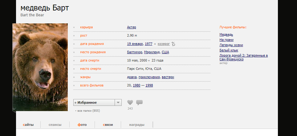Неожиданный актер - Актеры и актрисы, Медведи, Сайт КиноПоиск, Фильмы