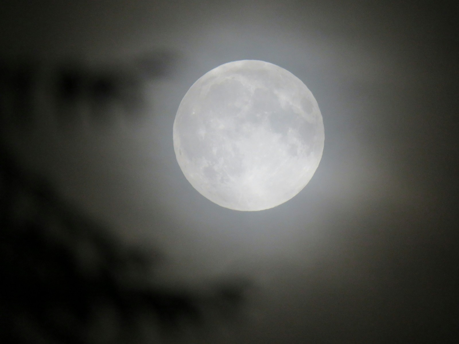 moon before eclipse - My, moon, Clouds