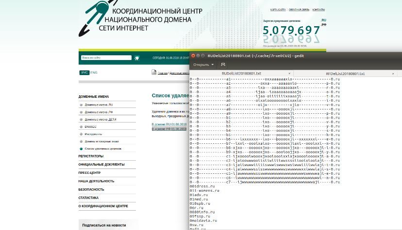 Список удаляемых национальных доменов реестром зоны на 01.08.2018 - Cctldru, Удаление доменов, Домен