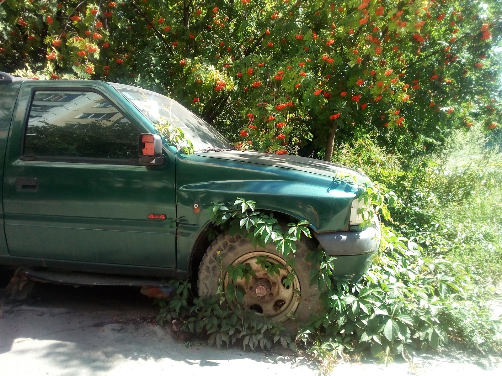 Captured, but not yet conquered. - Auto, Abandoned, The photo, Town, Longpost