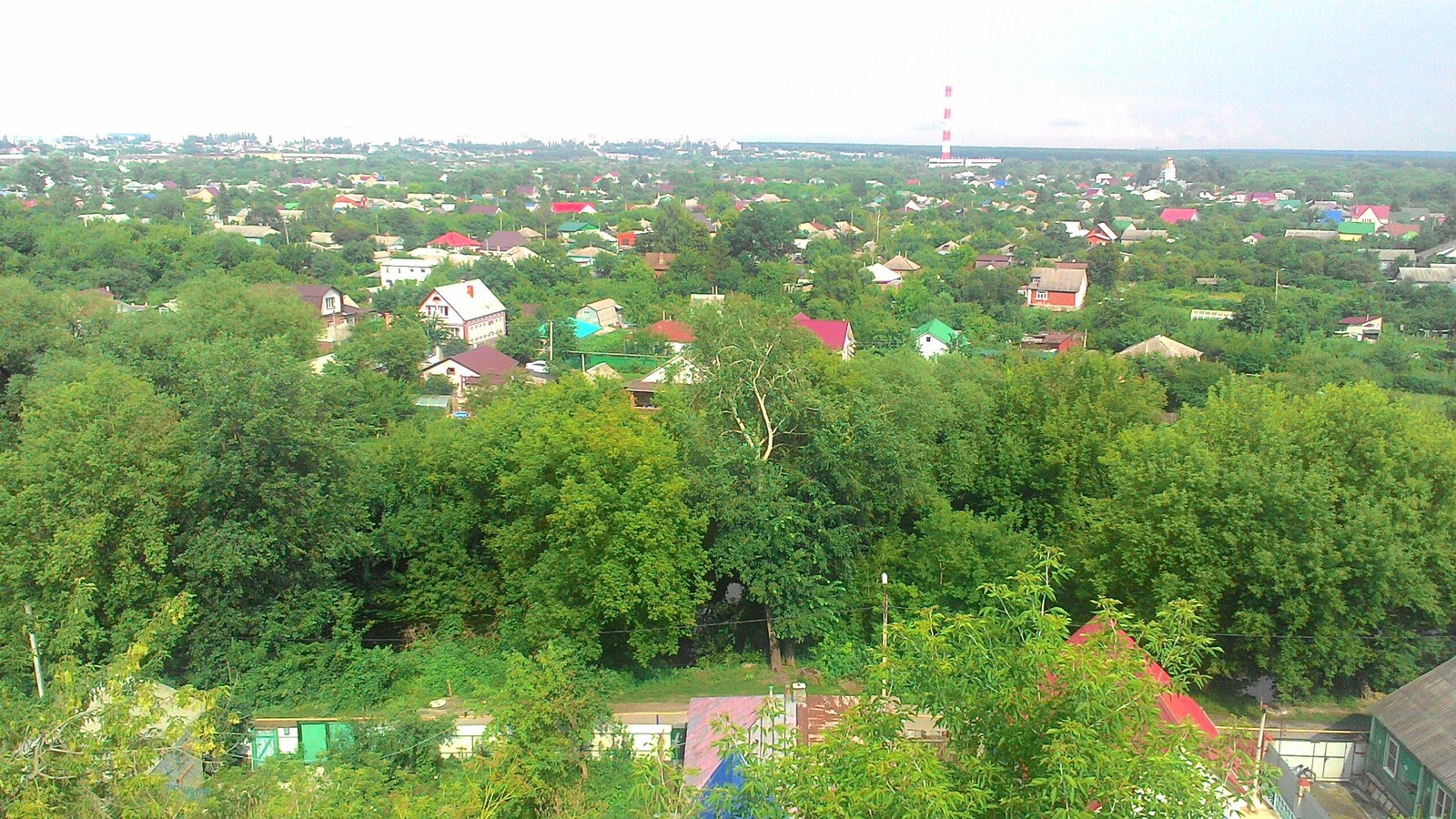 Green places - My, Bush, Photo on sneaker, View from a height, View from above