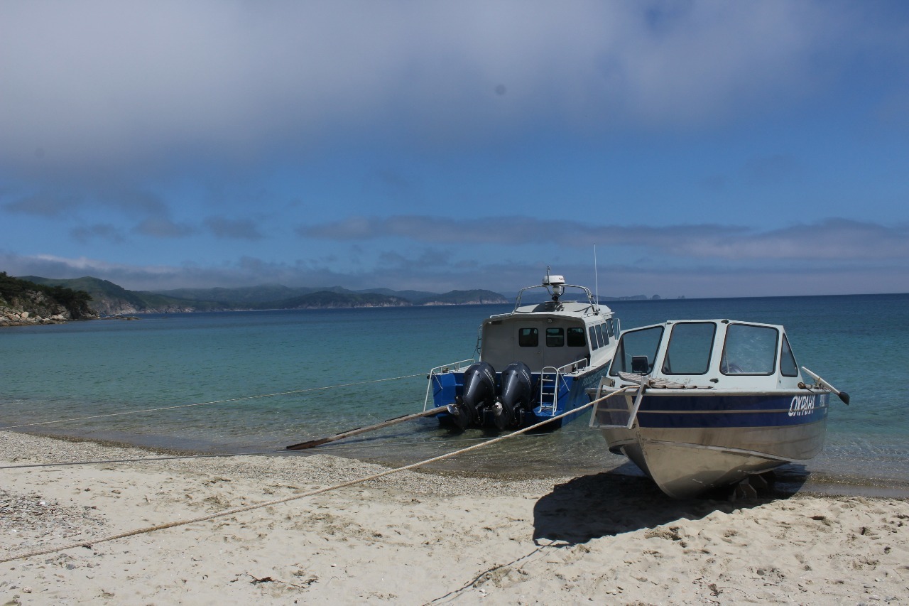 Far Eastern Marine Reserve. Walk along the Bay of Salvation. - My, My, The photo, Sea, Primorsky Krai, Marine Sanctuary, Gulf of Peter the Great, Longpost, Дальний Восток