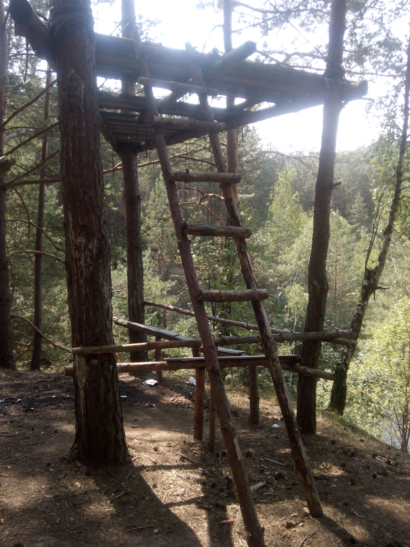 Walking through the forest, I found just such a design in the forest. I wonder what it's for? - My, Thing, , Forest, House in the woods, Wooden construction, Longpost