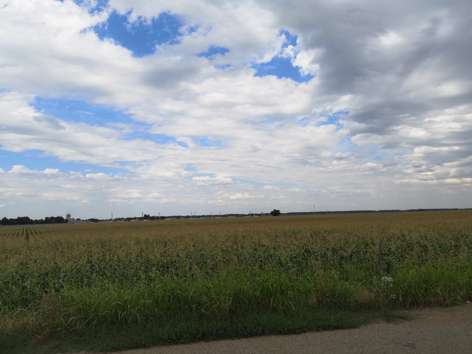 Russian field. - The nature of Russia, Good mood