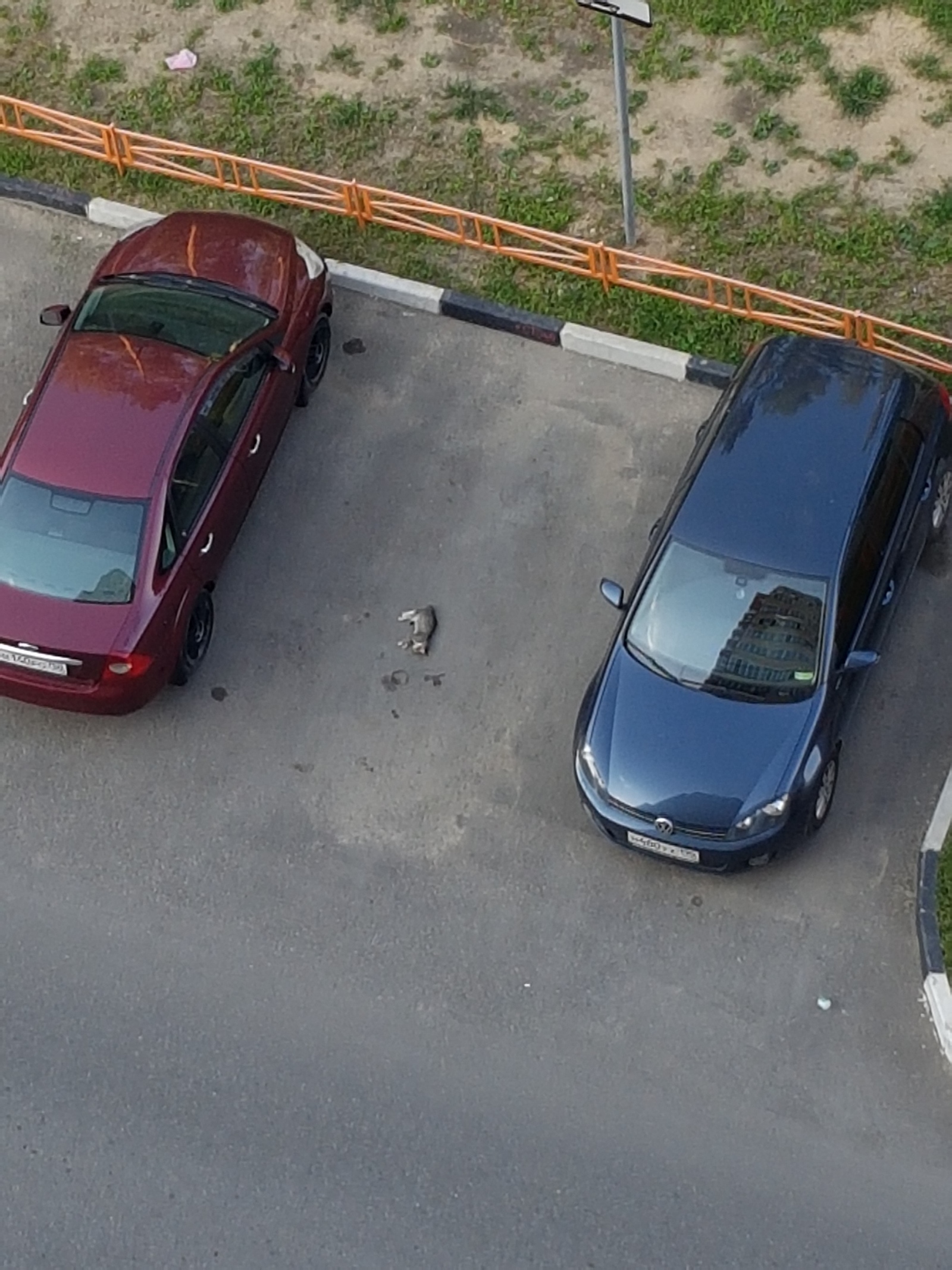 Как правильно занимать парковочное место во дворе | Пикабу