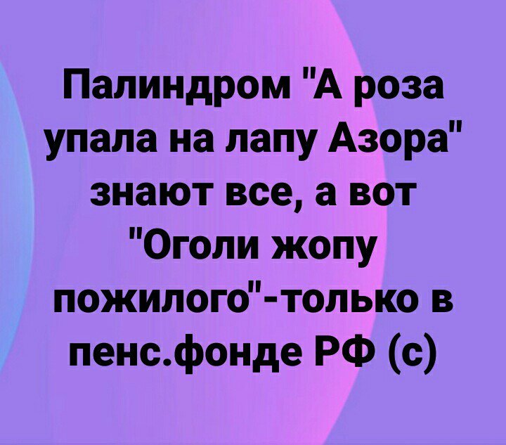 О палиндромах.)) - Twitter, Юмор, Палиндром, Политика, Пенсионный фонд, Русский язык, Виолетта Волкова