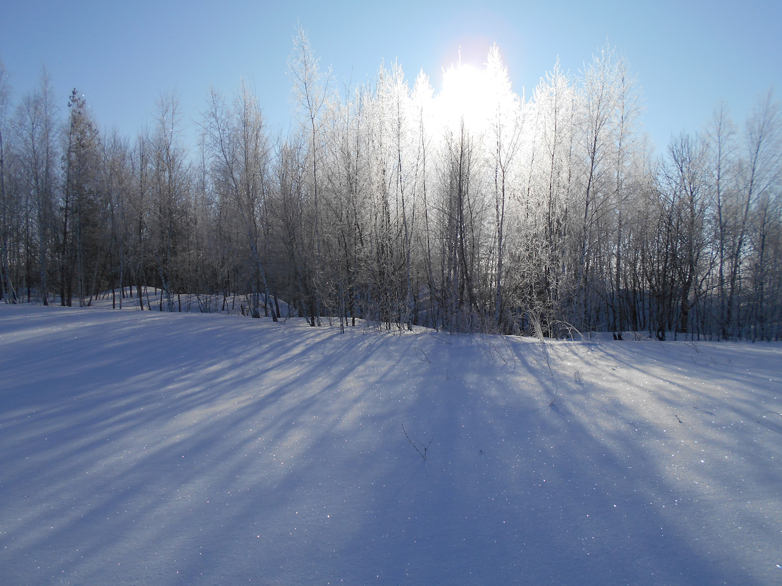 For spring water in a winter fairy tale - My, Winter, Blue Lake, Drive, Road trip, Tula region, Travels, Longpost