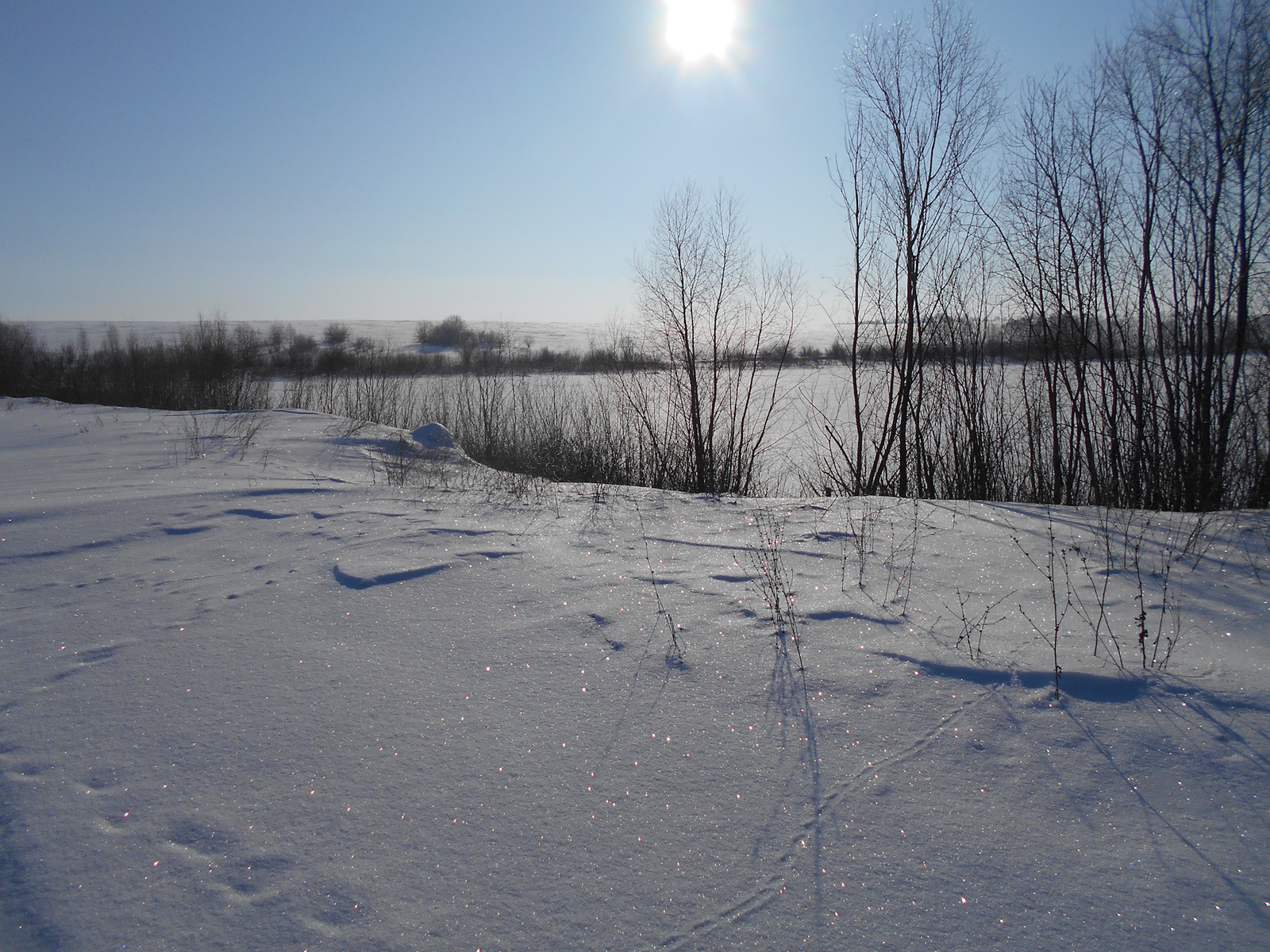 For spring water in a winter fairy tale - My, Winter, Blue Lake, Drive, Road trip, Tula region, Travels, Longpost