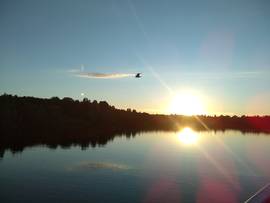 Summer photos on the water. - My, Photographer, Beginning photographer, My, Beach vacation, Nature, Longpost