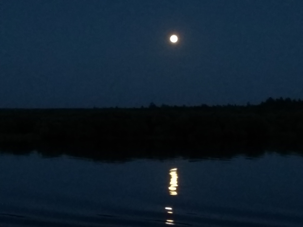 Summer photos on the water. - My, Photographer, Beginning photographer, My, Beach vacation, Nature, Longpost