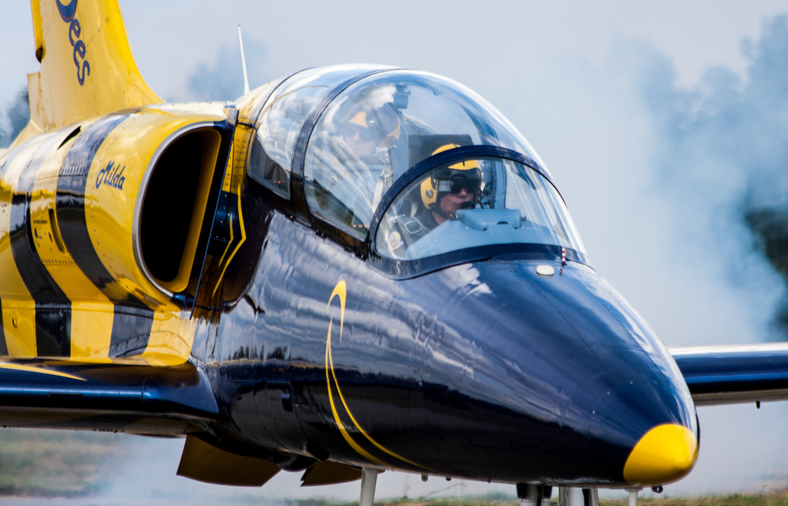 Wings over Baltics 2018 - My, Aviation, Airshow, Airplane, Aerobatics, Longpost