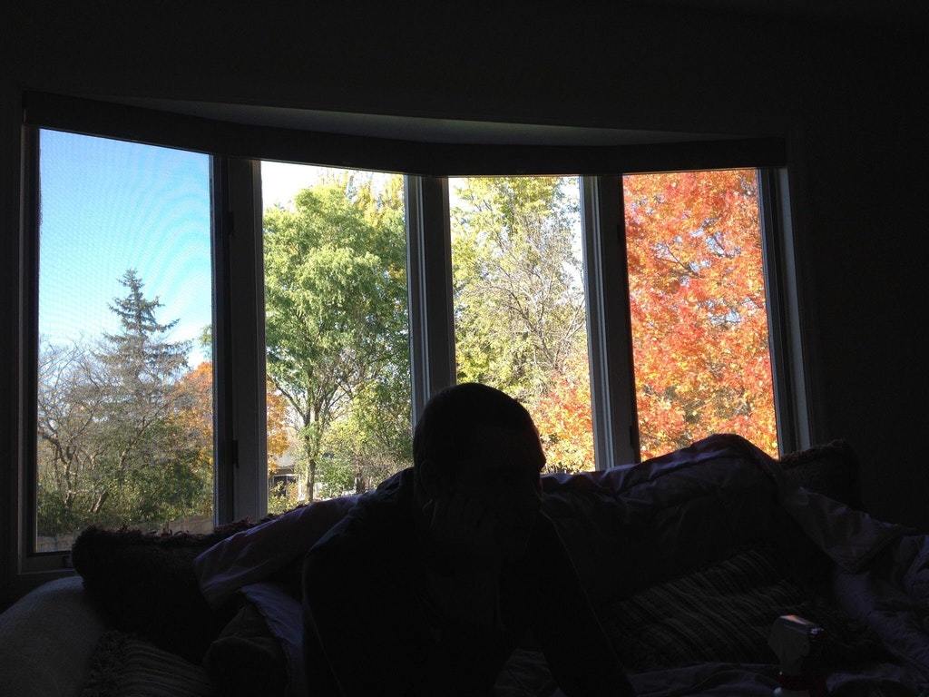 This window makes my backyard look like different seasons - Window, Seasons, Reddit