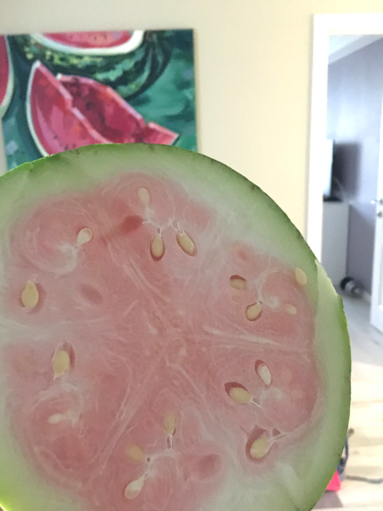 Ate, damn it, watermelon! - My, Watermelon, It's not tasty, 