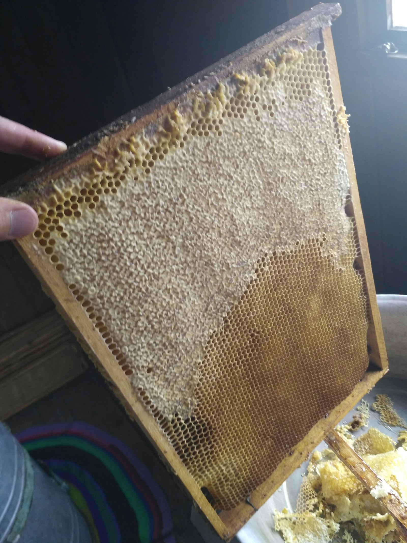 Hard work, but honey is sweet. - My, Honey, Beekeeping, My, Longpost, GIF