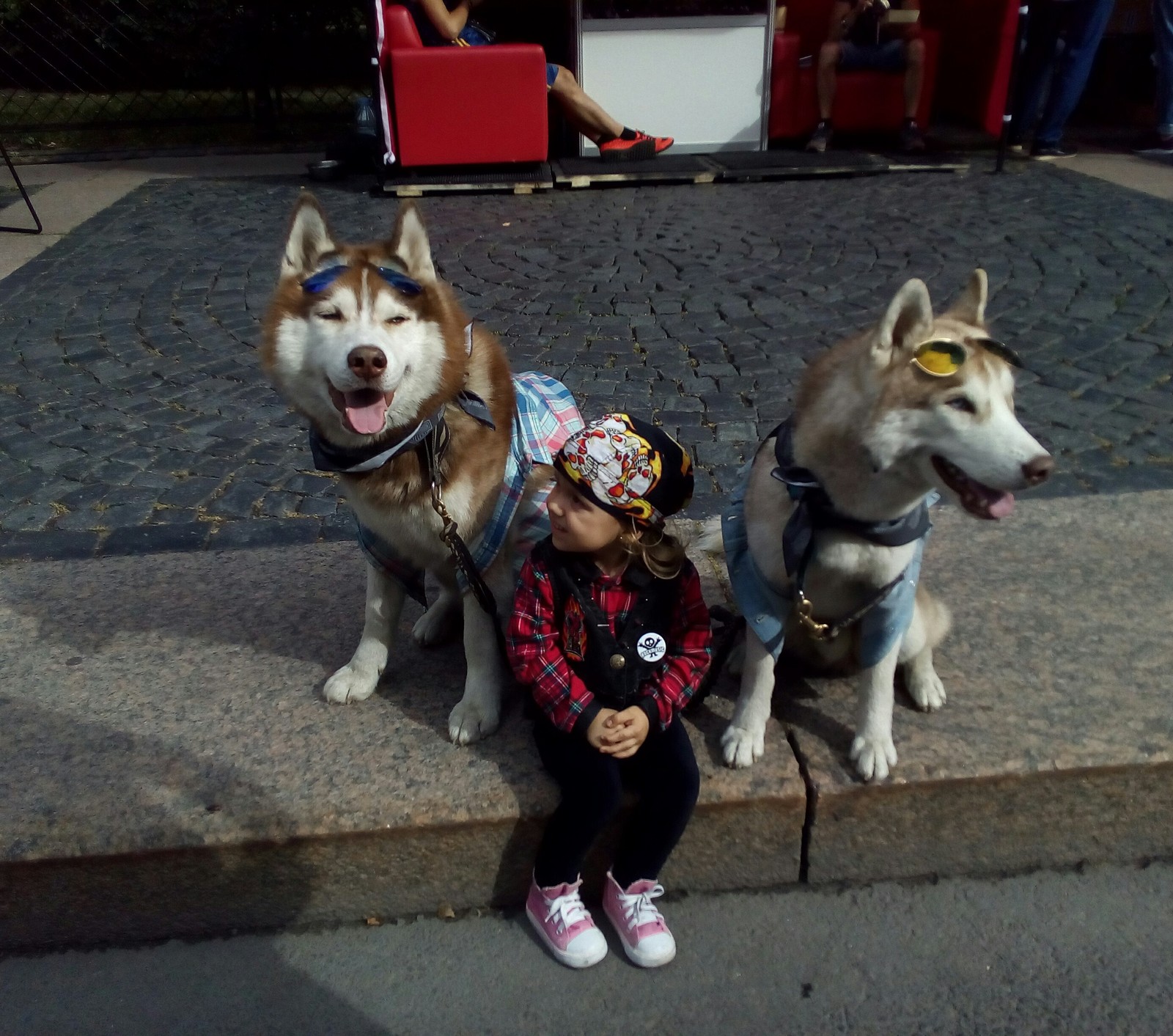 Когда пытаешься сфотографировать ребенка с собакой | Пикабу
