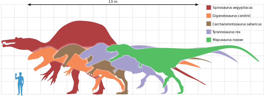 Tyrannosaurus rex and the ocean of lies - My, Tyrannosaurus, Dinosaurs, Animals, Paleontology, Zoology, Nature, Longpost