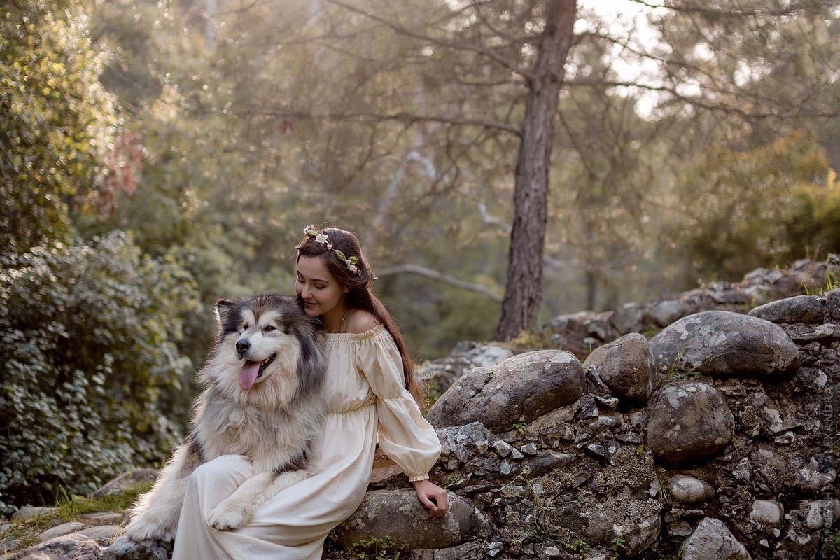 How Zolotinka flew to Cyprus. - My, Longpost, Dog, Flight, Travels, Animals, Text, The photo, Cyprus, Alaskan Malamute, Nature