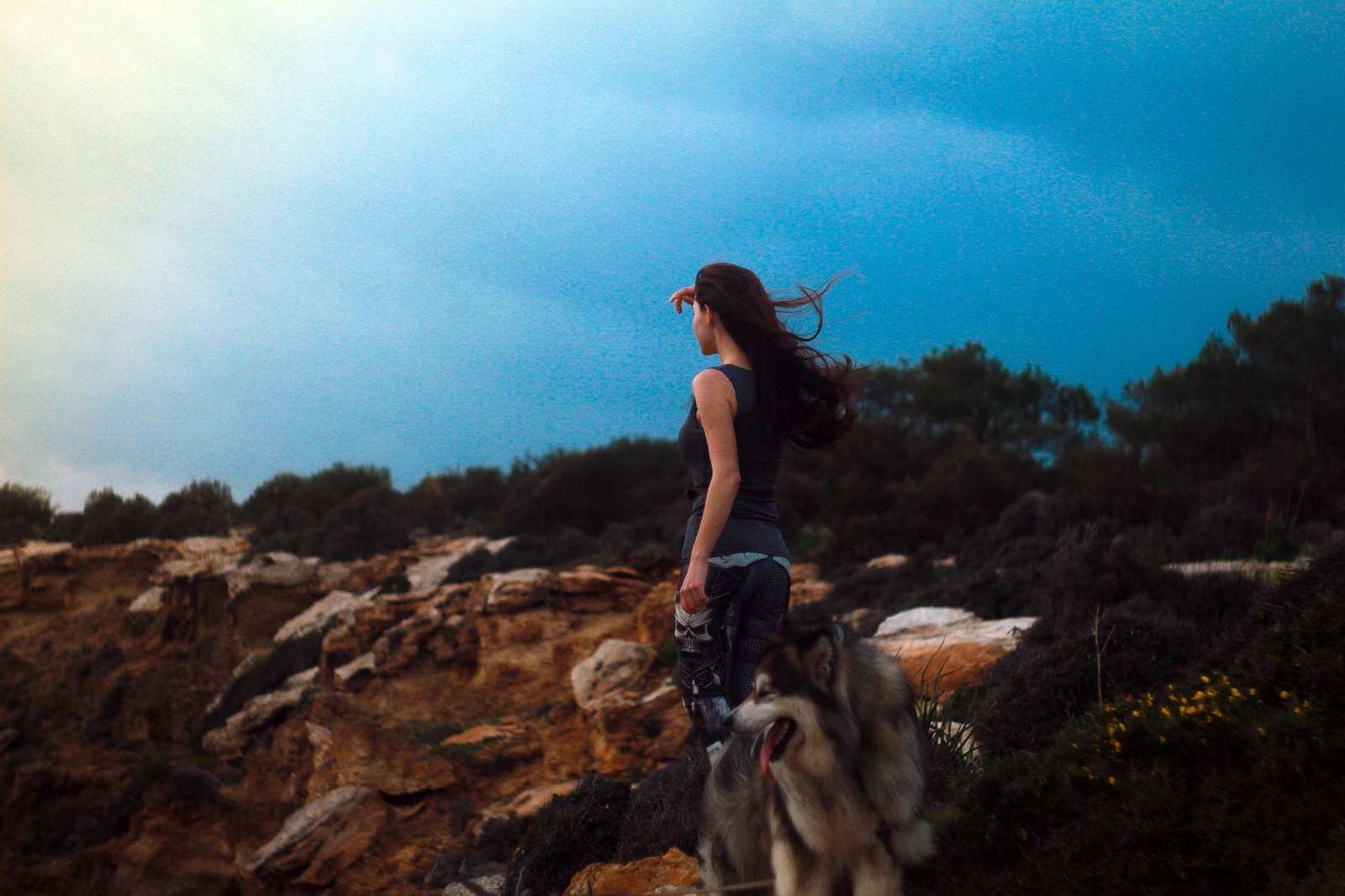 How Zolotinka flew to Cyprus. - My, Longpost, Dog, Flight, Travels, Animals, Text, The photo, Cyprus, Alaskan Malamute, Nature