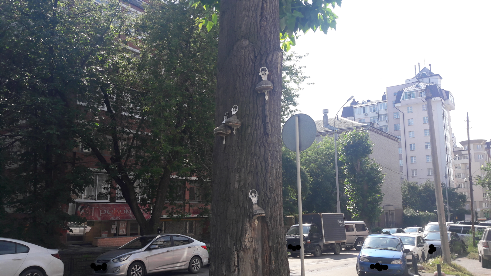 Street creativity - My, Street art, Ballerinas, Mushrooms, Creative, The photo, Ballet, Yekaterinburg