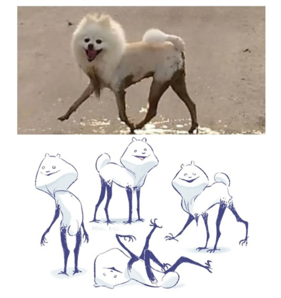 Spitz are so cute - Spitz, Dog, Humor