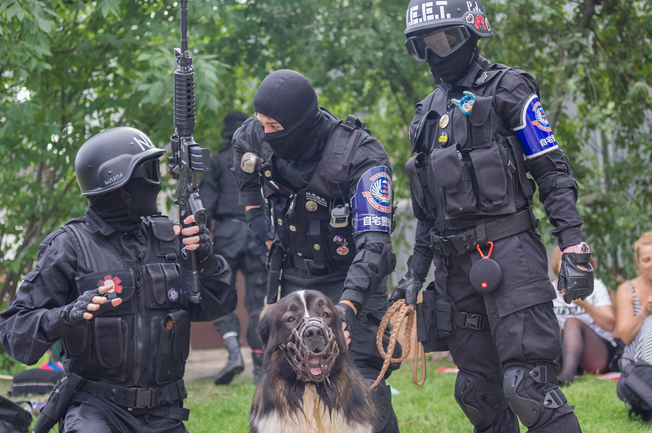 Walks in Gorky Park (J-fest) - My, Dog, Moskovskaya storozhevaya, Cosplay, , Neet, Spiderman, Longpost