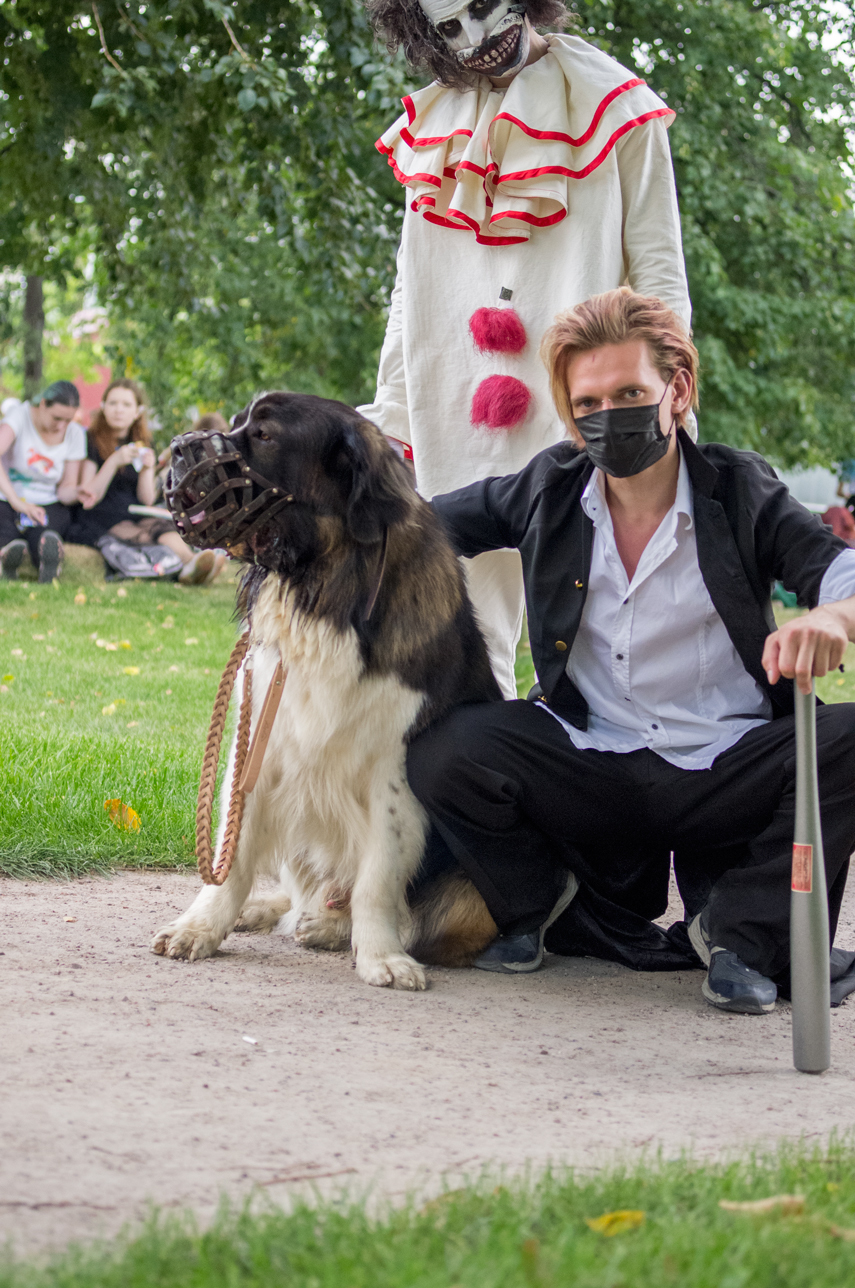 Прогулки по парку Горького (J-fest) - Моё, Собака, Московская сторожевая, Косплей, j-Fest, Neet, Человек-Паук, Длиннопост