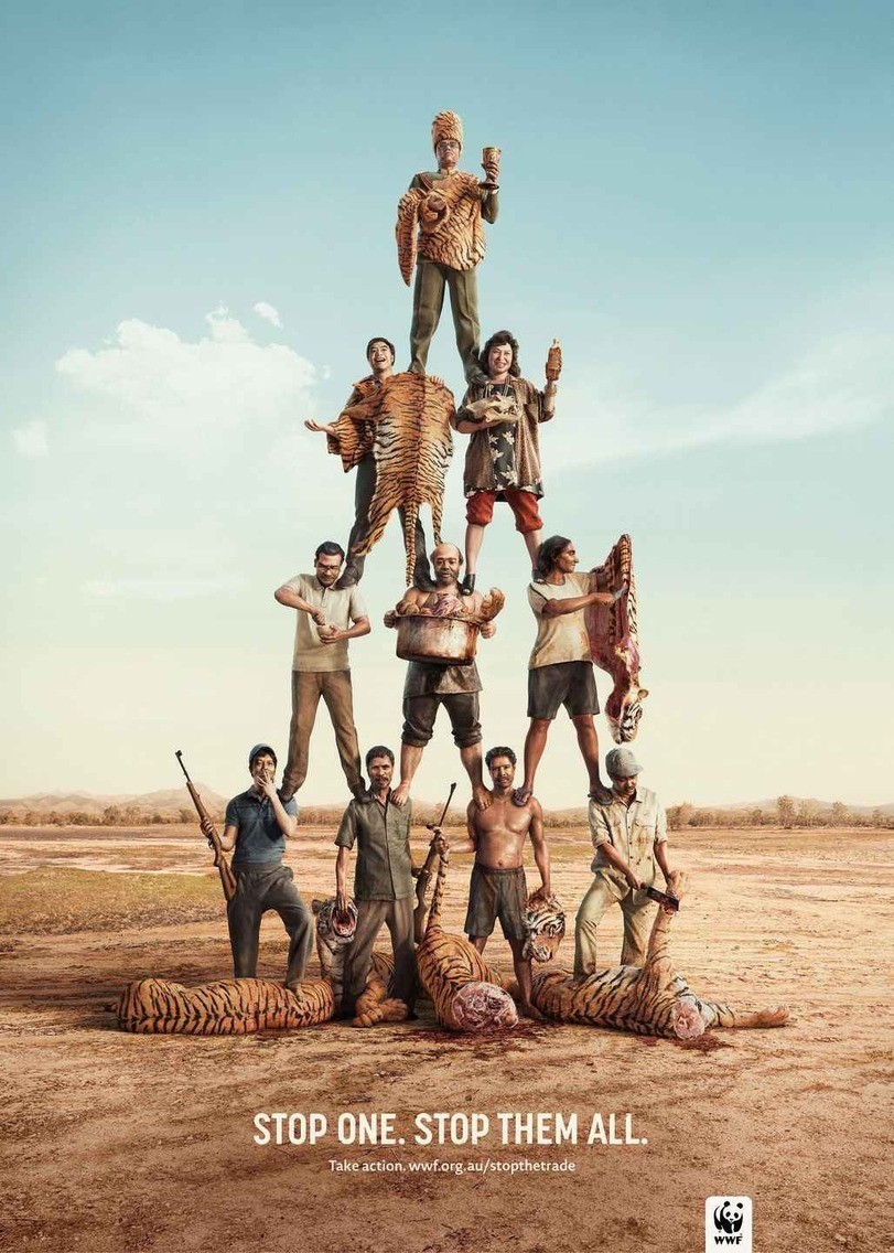 Social advertising from WWF - WWF, Advertising, Animal protection, Poachers, Animals, Longpost