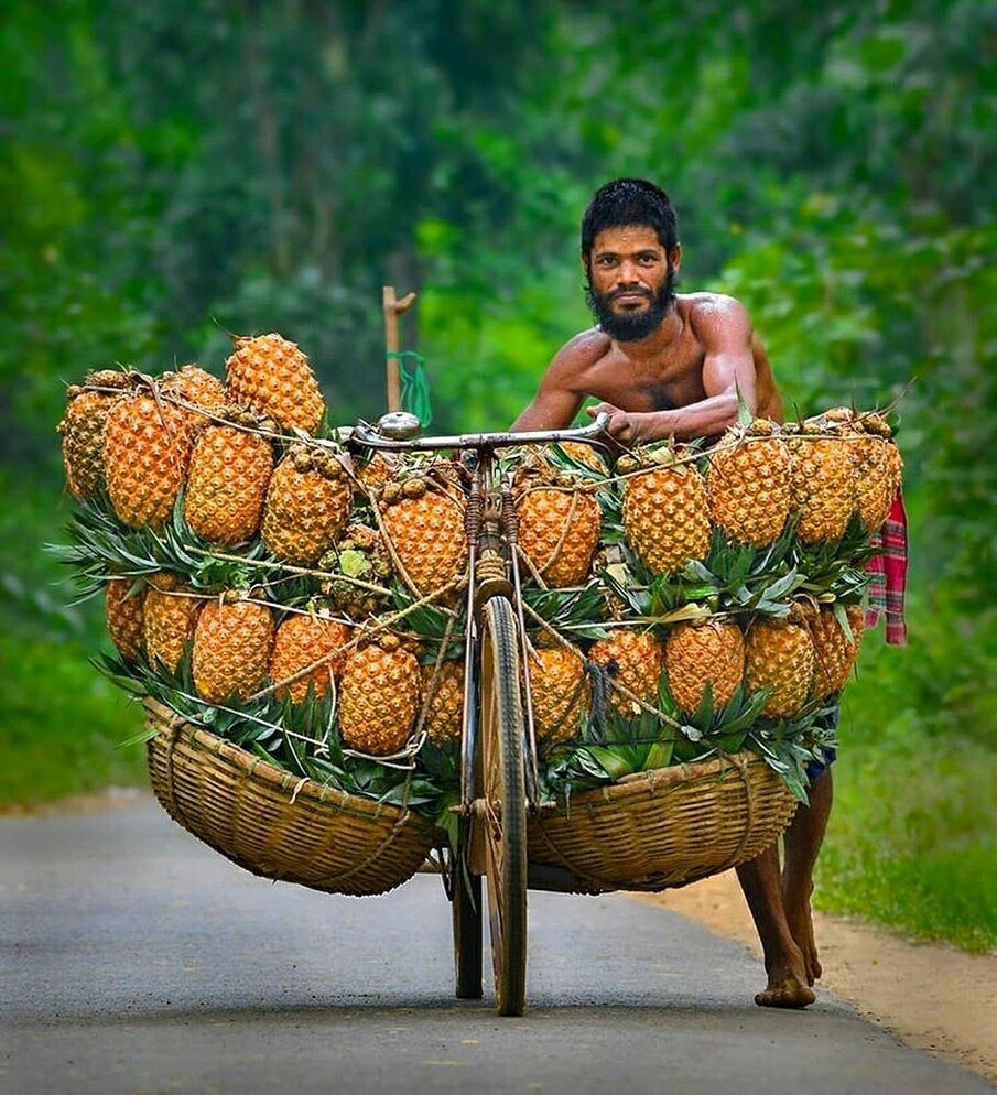 Harvesters in India - The photo, Longpost, India, Harvest