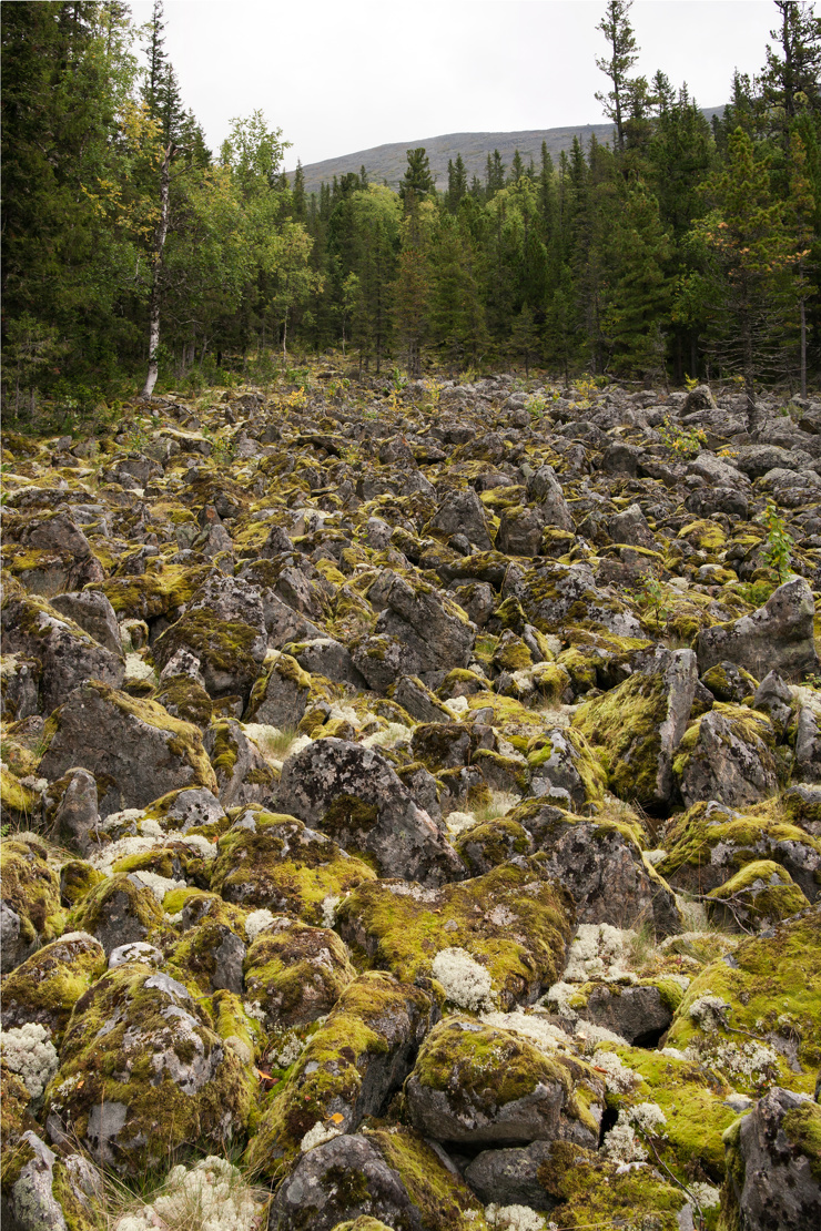 Konzhakovsky Stone - Northern Ural, The mountains, Nature, Konzhakovsky stone, Sverdlovsk region, The photo, Longpost