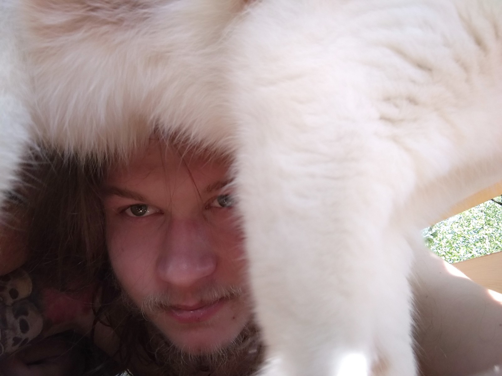 Briefly about how I tried to take a selfie in the country, but cats decide everything .. - My, cat, Dacha, Longpost