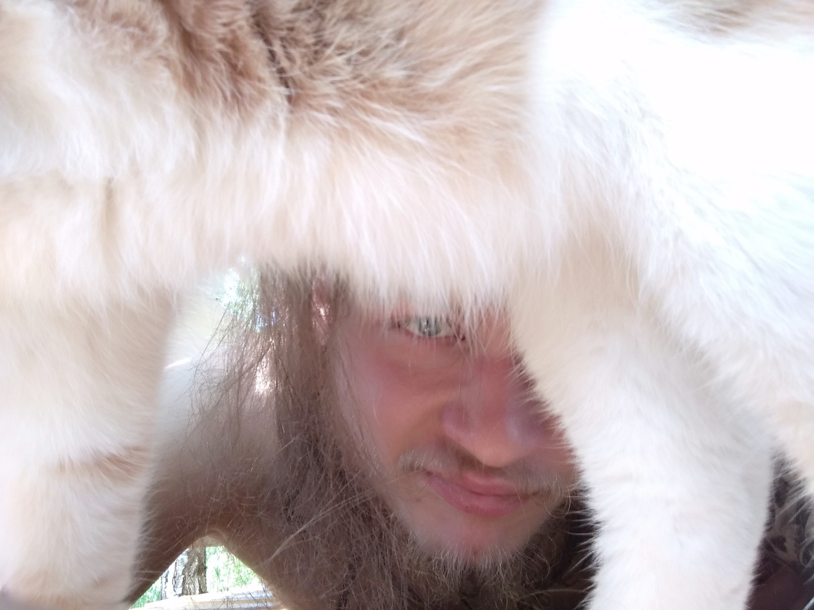 Briefly about how I tried to take a selfie in the country, but cats decide everything .. - My, cat, Dacha, Longpost