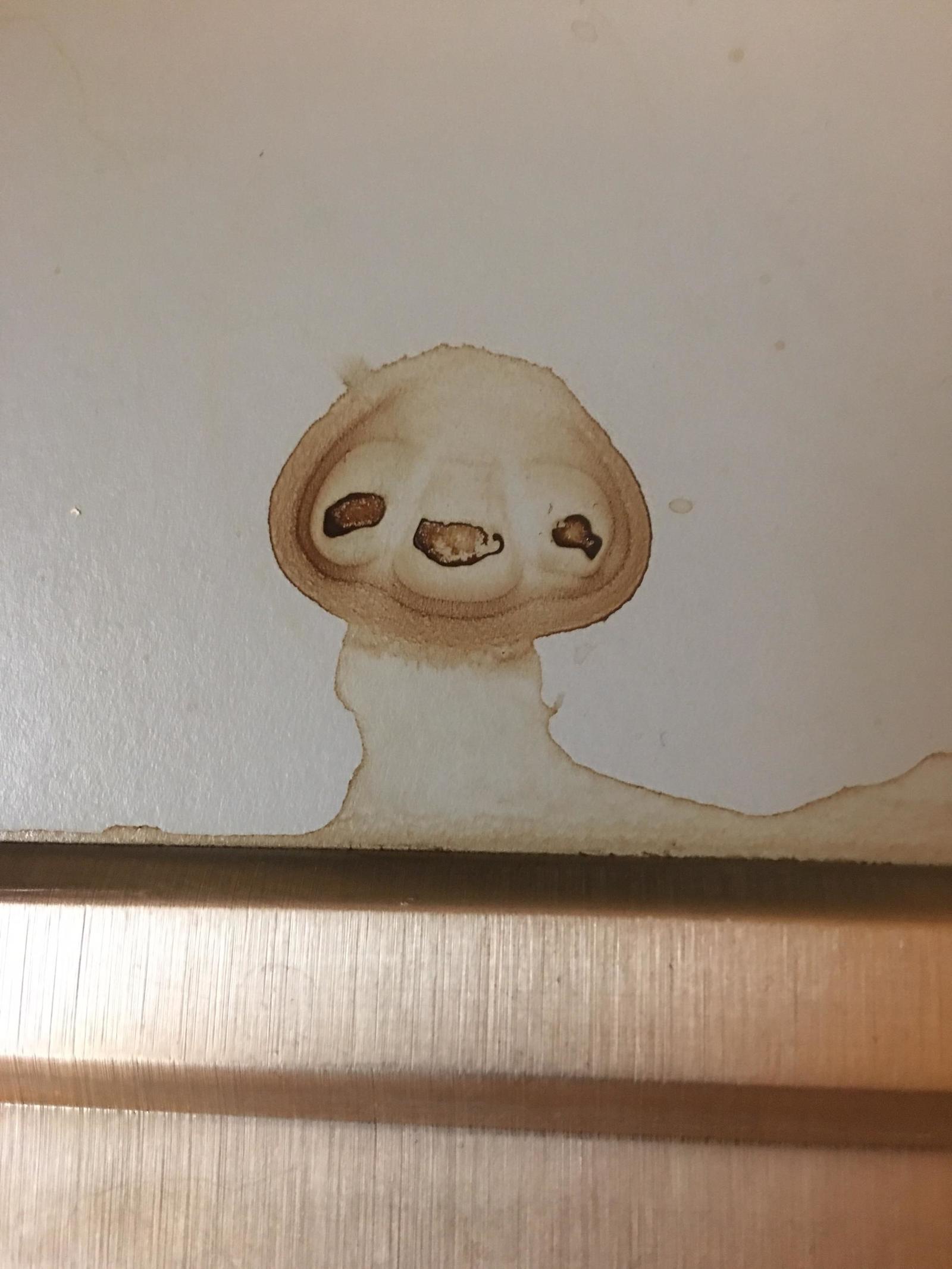 Coffee stain in the post office of Russia - Post office, Sloth, The photo