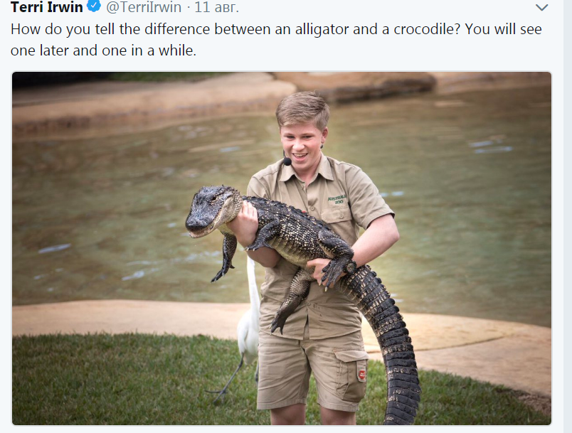 Son of Steve Irwin - , Discovery, Crocodile, Crocodiles