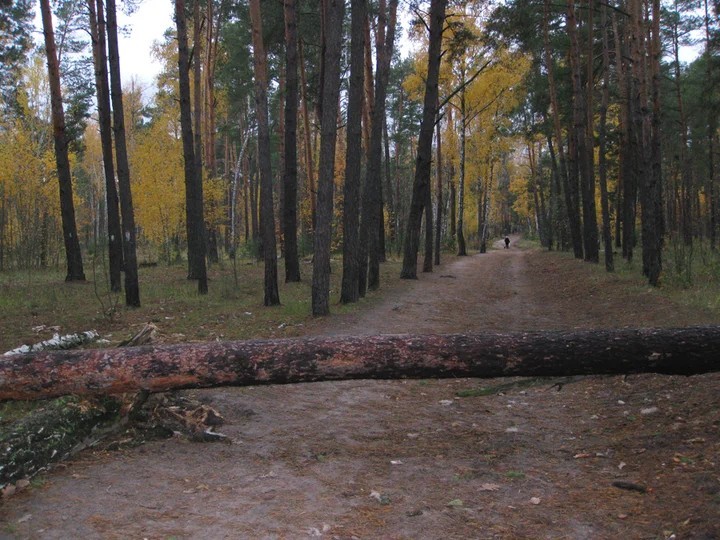 Штраф за объезд препятствия - бесплатно не объедешь? - ПДД, Как так?, Длиннопост, Как?